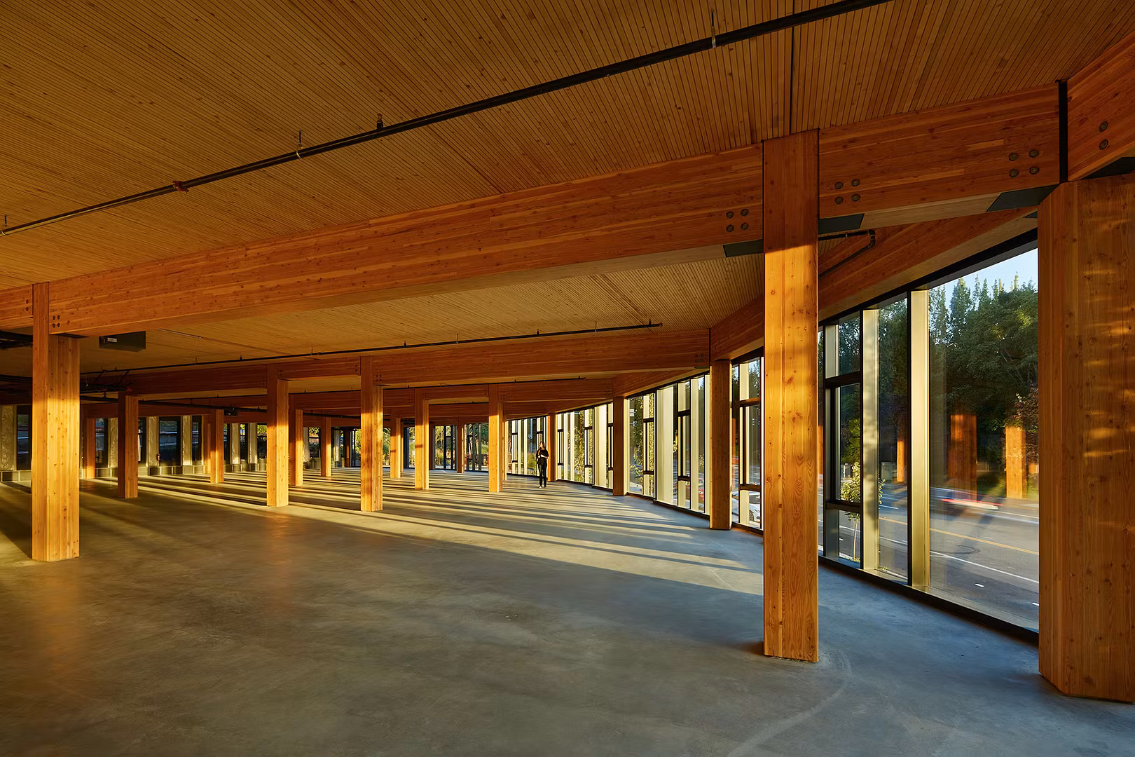 5501 Lakeview S172371 01 C172371 02 N71 Interior CLT Mass Timber