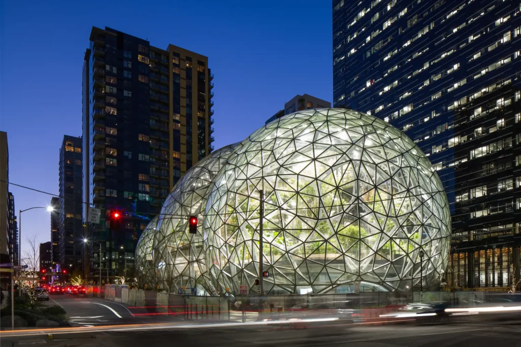 Amazon in the Regrade