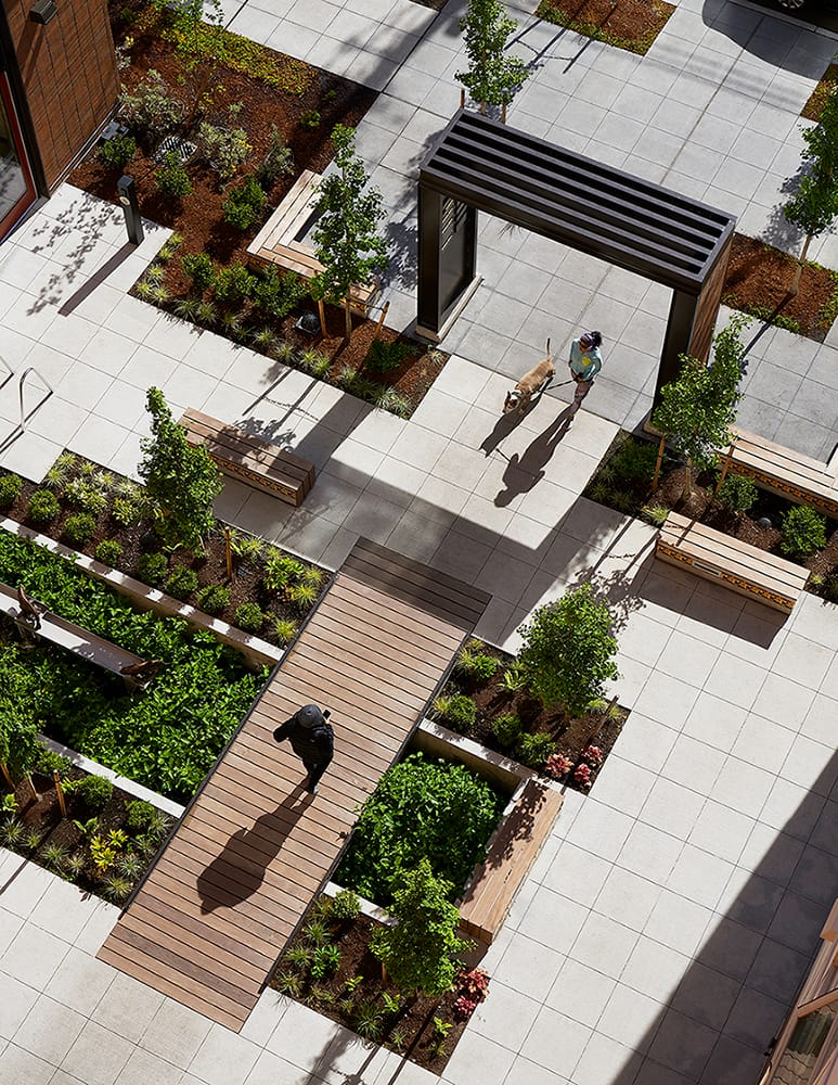 LibertyBB C160027 02 S160027 03 N63 Exterior Plaza People Residents Dog Rain Gardens
